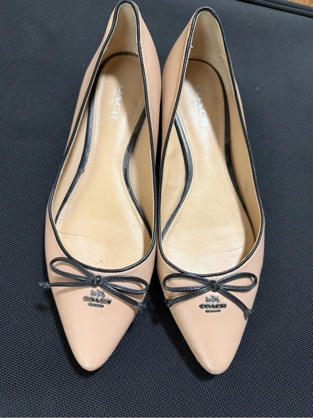 Coach women pointed